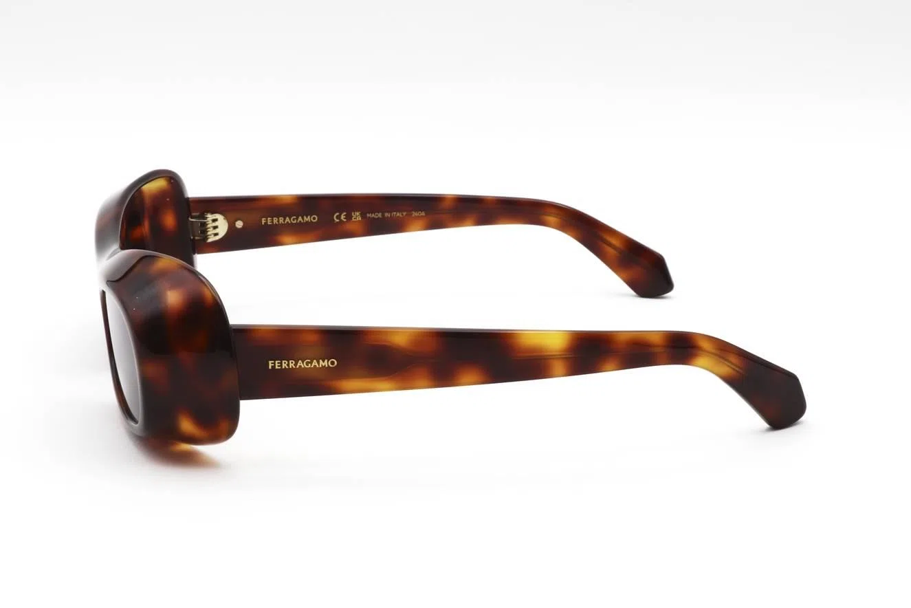 Ferragamo SF2030S Sunglasses - view 17